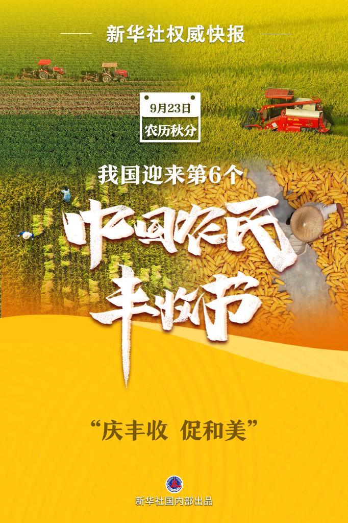 打牌网下载安卓